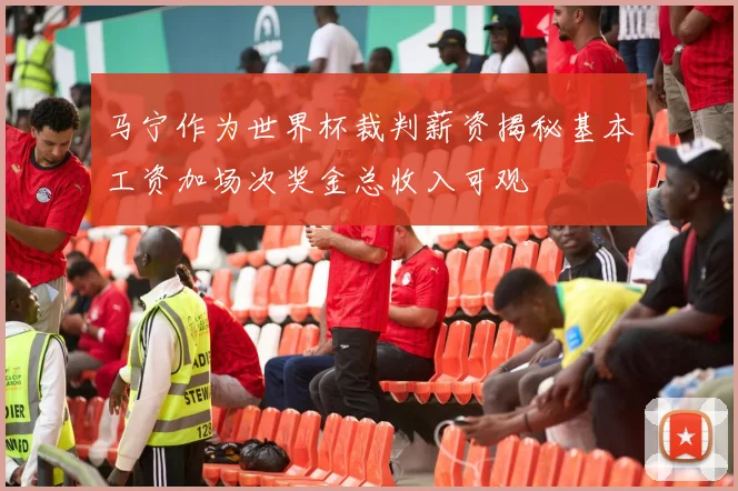 马宁作为世界杯裁判薪资揭秘基本工资加场次奖金总收入可观