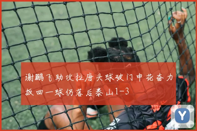 谢鹏飞助攻拉唐头球破门申花奋力扳回一球仍落后泰山1-3