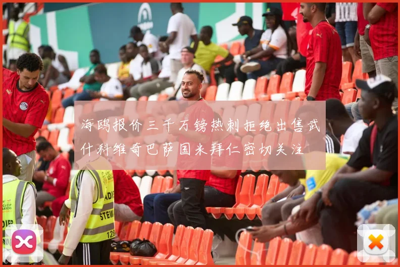 海鸥报价三千万镑热刺拒绝出售武什科维奇巴萨国米拜仁密切关注