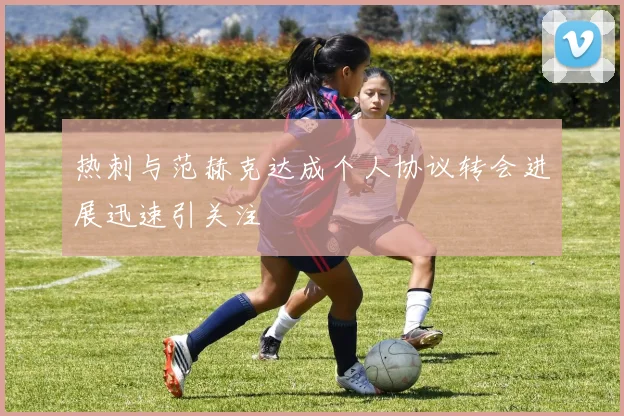 热刺与范赫克达成个人协议转会进展迅速引关注